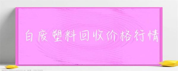 白废塑料回收价格行情