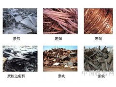 南山城兴回收公司 推动可再生资源循环利用的绿色卫士