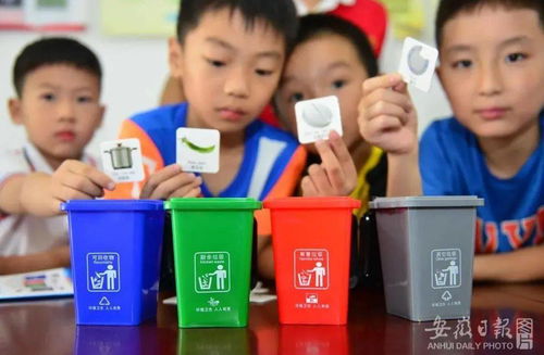 安徽全面推行资源回收新规，助力绿色转型再提速